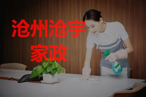 在滄州找家政服務,搬家后的房屋保潔工作該如何做呢