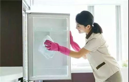 我區(qū)生活性服務業(yè)職業(yè)技能大賽獲獎名單出爐